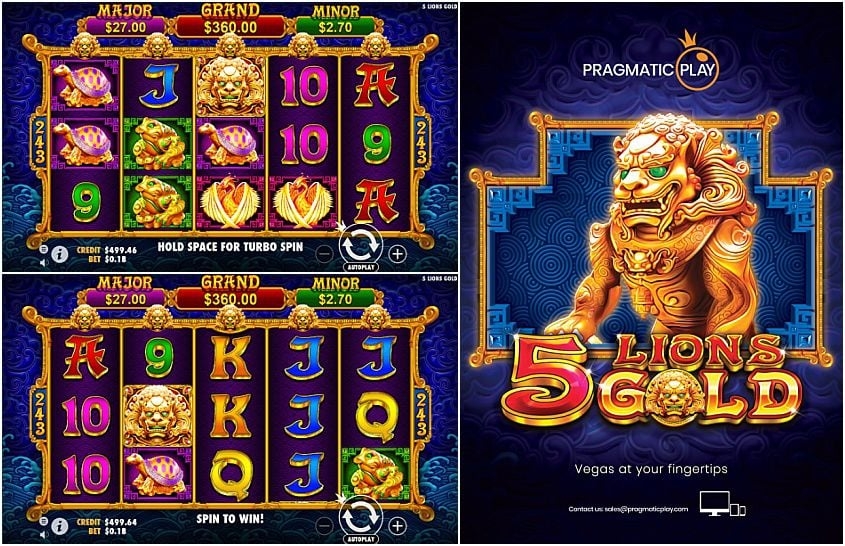 Slot 5 Lions Gold, apostas, cassino online, caça-níqueis, estratégias de apostas.